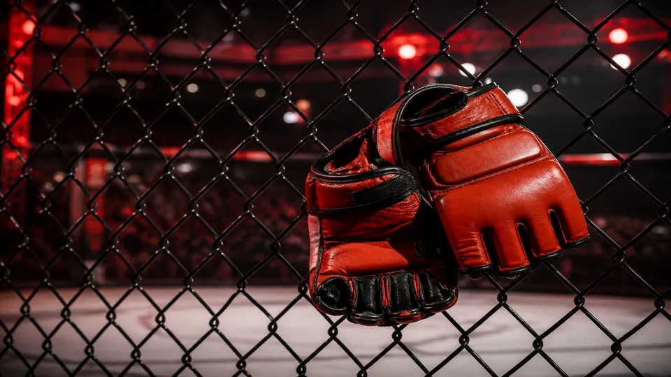 Live ставки на MMA Pin-Up: красные перчатки на сетке октагона арены